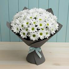 Букет цветов из:  Хризантемы #REPLACE_PRED# Кобяково